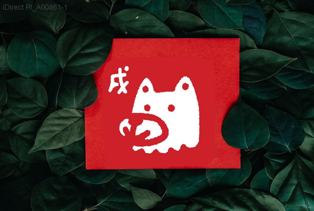 「2025年生肖運勢大解析！查看你的財運、愛情與健康指南！」